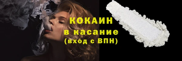 ГАЛЛЮЦИНОГЕННЫЕ ГРИБЫ Арсеньев