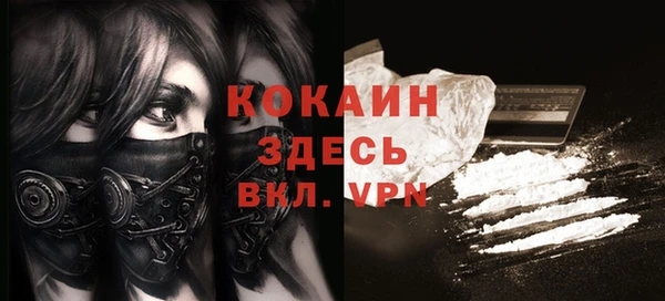 ГАЛЛЮЦИНОГЕННЫЕ ГРИБЫ Арсеньев