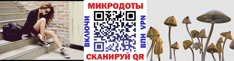 Купить закладки  Полярный  Галлюциногенные грибы Psilocybe 