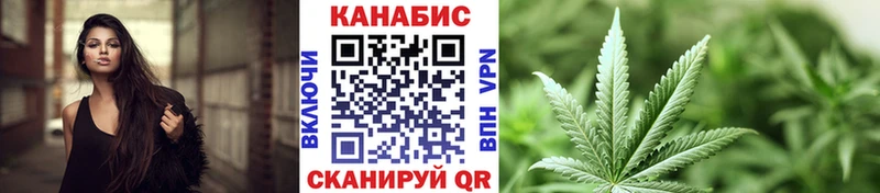 Купить где  Полярный  Каннабис сатива 